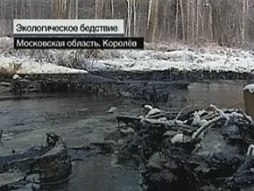 Эклогическое бедствие